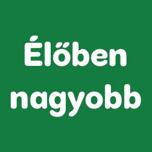 Milyen fajta kutya vagy?